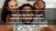 150+ best son quotes for proud parents to express their love