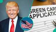 US offers unique green card pathways to citizens of over 5 countries under 'other categories'