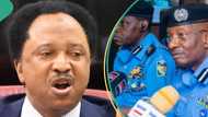 Nigeria police react as Shehu Sani asks Tinubu to free #ENDSAR protesters in prison