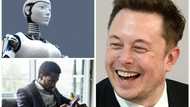 AI threatens, Insults user after too many queries, Elon Musk found the shared conversation funny
