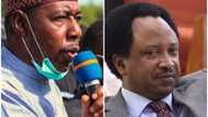 A'a Farfesa; Shehu Sani ya ci gyaran gwamna Zulum kan abinda ya fara jawo Boko Haram