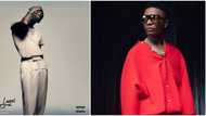 "Album wey sweet": Wizkid’s Made in Lagos Deluxe re-enters Top 5 on Apple Music album chart after 20 months