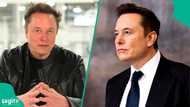 Elon Musk names his greatest musician of all time, compares him to Shakespeare