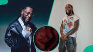 Burna Boy: Video of female fan sleeping, surrounded by empty seats at singer's recent US show trends