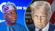 Another foreign affairs expert cautions Tinubu to avoid Trump, advises him on what to prioritise