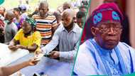 FG to share N75,000 monthly to 9 million Nigerians, Tinubu gives approval