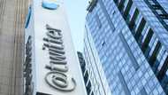 Twitter layoffs before US midterms fuel misinformation concerns
