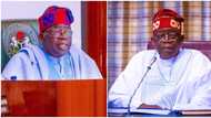 "He's a chess player": Sources reveal what Tinubu is doing as deadline to submit ministerial list emerges