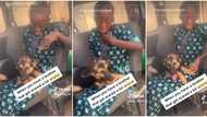 "It won't bite you": Nigerian boy sheds tears as dog sits on his lap, refuses to play with it in funny video