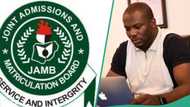 JAMB 2024: Man shares success stories of "village youngsters" who scored 250-300 in UTME results