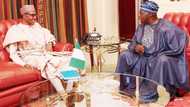 Obasanjo: PDP ex-chairman sends timely message to Buhari, INEC