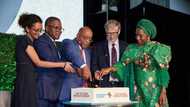 An yi sauyi a kamfanin simintin Dangote, Halima Dangote ta maye gurbin Sani Dangote