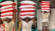 Nigerian man hustling at warehouse carries 5 bags of rice on his head during offloading