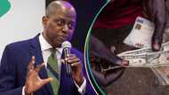After hitting over N800 per dollar in the official market, Naira recovers to N790.68/dollar