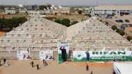 3 months after Buhari unveiled largest rice pyramid in Africa, Nigeria resumes rice import from neighbours