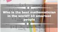 Who is the best mathematician in the world? 10 smartest people