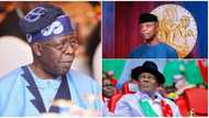 2023: Tsohuwar Sanata ta aika saƙo mai tada hankali ga Tinubu, Osinbajo, Atiku da sauran ƴan takara