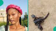 Nigerian lady narrowly escapes after scorpion fell from shower while she was having her bath