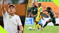 AFCON Qualifiers: 3 Benin Republic players that can hurt the Super Eagles