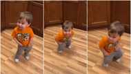 He will go far: Amazing boy in orange dress gives stunning waist dance, his body goes freewheel in sweet video