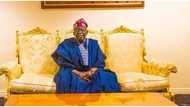 Just In: Date President Bola Tinubu may send ministerial list to Senate revealed