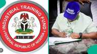 NANS takes action to begin paying Nigerian students SIWES allowance