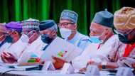 APC chairman reveals what may be done to Tinubu over utterances against President Buhari