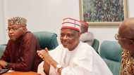 2023 presidency: Kwankwaso speaks on stepping down for Tinubu or Atiku