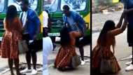 Reactions as viral video shows lady on her knees crying uncontrollably while begging a man