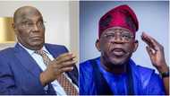 Tinubu has reversed gains made in Nigeria's democracy, says Atiku