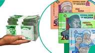 From ₦10 to ₦50: How inflation is silently erasing Nigeria’s small naira notes