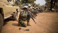 Harvest of deaths as bandits attack villages in Niger, kill 10