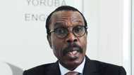Having a public office holder with intellectual depth like Osinbajo is refreshing, says Rewane