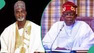 Nationwide protest: 5 issues Nigerians want Tinubu to solve urgently, APC chieftain discloses