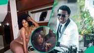 BBN's Chizzy defends Phyna amid backlash concerning Abuja fight over N200K: "She's only human"