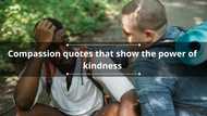 40 compassion quotes that show the power of kindness