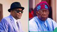 “We’ll apply the big stick”: PDP to punish Wike, other members endorsing Tinubu