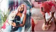 My dogs live a better life than me: DJ Cuppy says as she reels in the excitement of motherhood