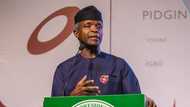 UAE: Osinbajo makes case for focus on green opportunities for economic growth in Africa