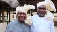 Dangote, Otedola, please run: Northern youths ask Dangote, Otedola, others to join presidential race