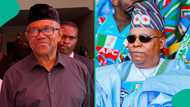 Zaben 2027: Kashim Shettima ya dura kan Peter Obi, ya yi masa wankin babban bargo