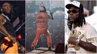 "Don't humble your dreams": Burna Boy advises fans as he shares lovely moments from his Love Damini tour