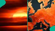 Europe heatwave crisis: 1,300 excess deaths reported as temperatures reach 44C