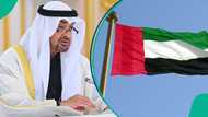 UAE lists 3 actions eligible foreigners must take while acquiring citizenship