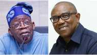 "Tinubu did not win February 25, 2023 presidential election", Peter Obi declares