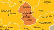 Da Ɗumi-Ɗumi: Jigon Jam'iyyar APC Kuma Shugaba, Musa Abubakar, Ya Rasu a Hanyar Kano