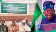 'An ware mu': Malaman Musulunci sun bukaci Tinubu ya yi duba kan nadin mukamai