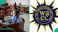 WAEC 2025 result: Man screams after seeing student's grades in just released exam: "Worst I've seen"