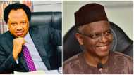 “I have turned him into reggae artist”: Shehu Sani throws jibe at El-Rufai