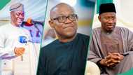 2027 presidency: PDP leaders, Wike's men disagree over Jonathan, Peter Obi, Makinde